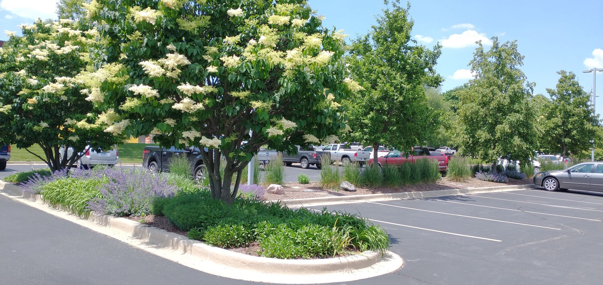 06052021 BAGlibrary.jpg